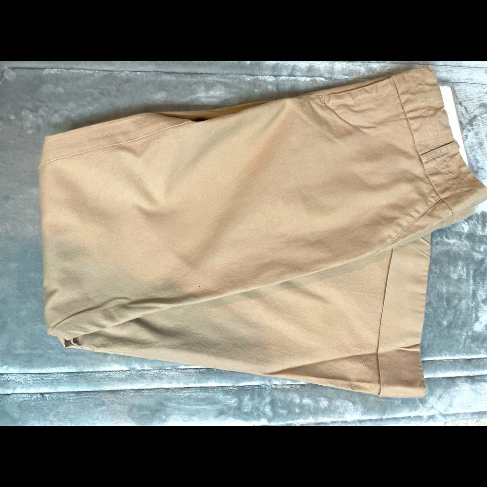 Banana Republic Dress Pants